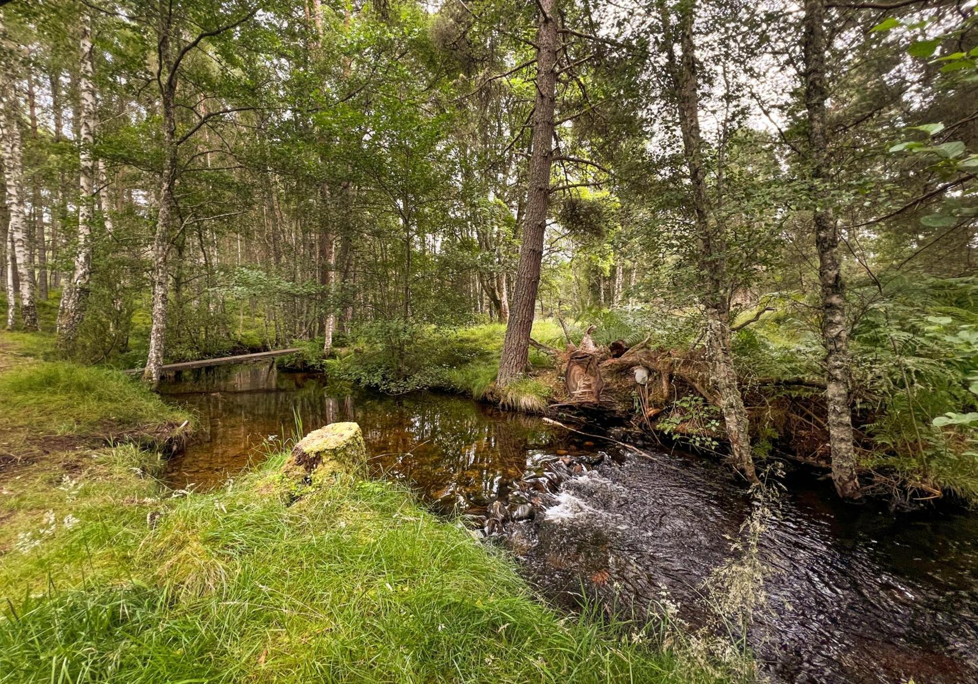 Cairngorm Lodge Rothiemurchus 阿维莫尔 外观 照片